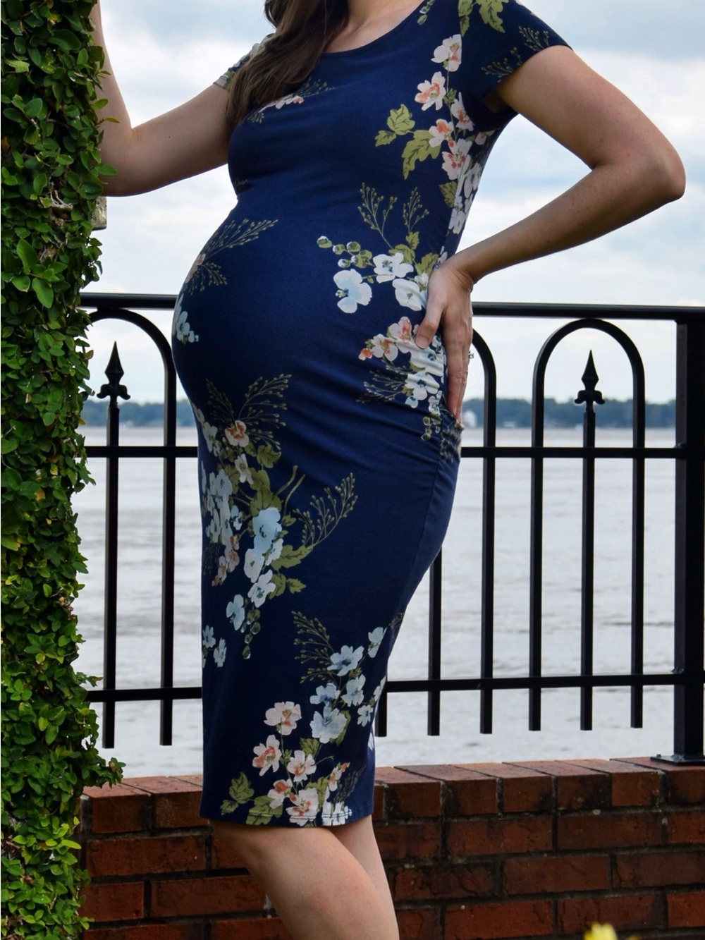 Isabel Maternity Dress
